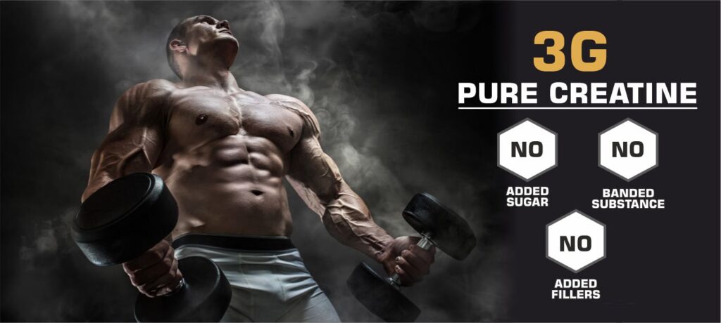 Musclex Nutrition cratine banner 1