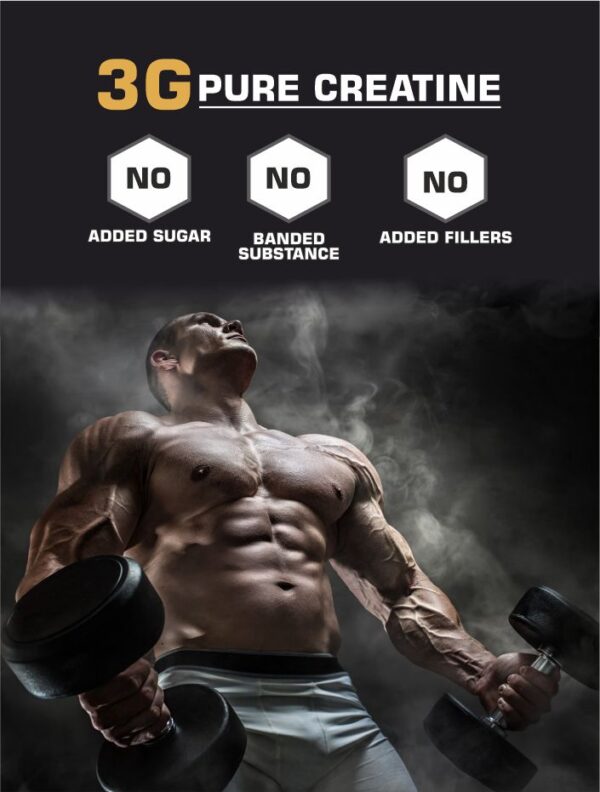 Musclex Nutrition cratine banner